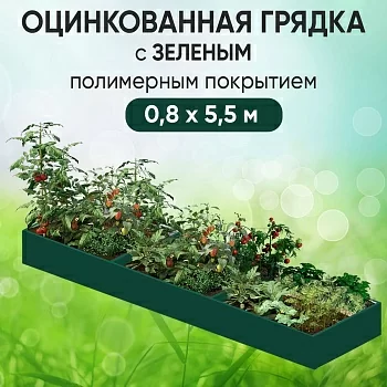 Грядка зеленая (0,8 х 5,5)