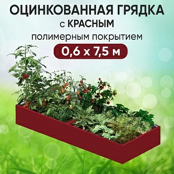 Грядка красная (0,6 х 7,5)